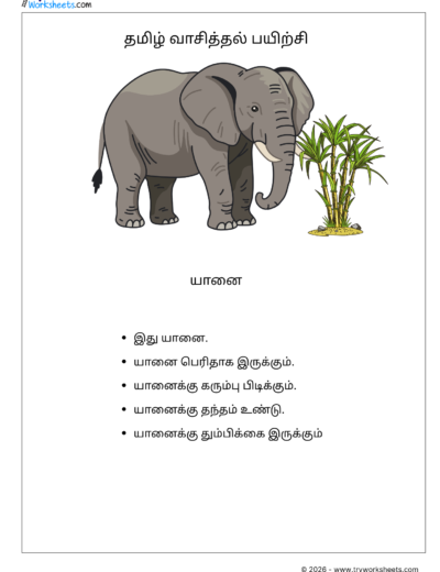 Tamil Short Passage Reading Practice Worksheets-Elephant
