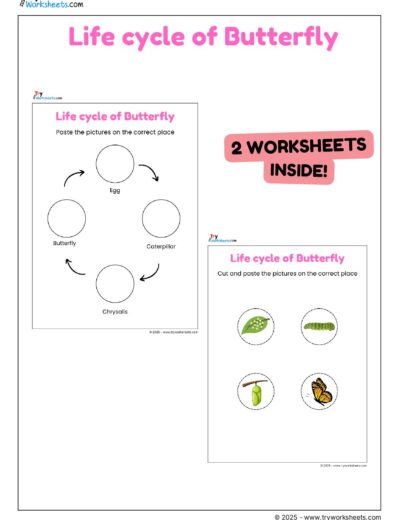 Science Activity Worksheets – Life Cycle of a Butterfly | Cut & Paste for Kids