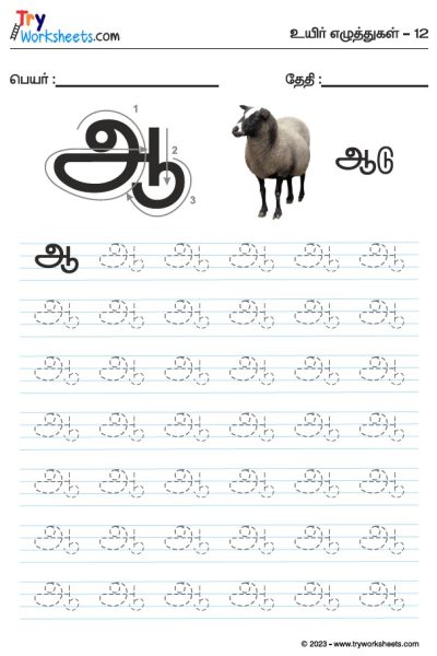 Tamil Tracing Worksheet -Letter -ஆ