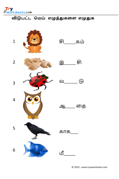 மெய் எழுத்துகளை எழுதுவோம் – 3
