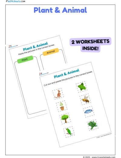 Science Activity Worksheets – Plants & Animals | Cut & Paste for Kids