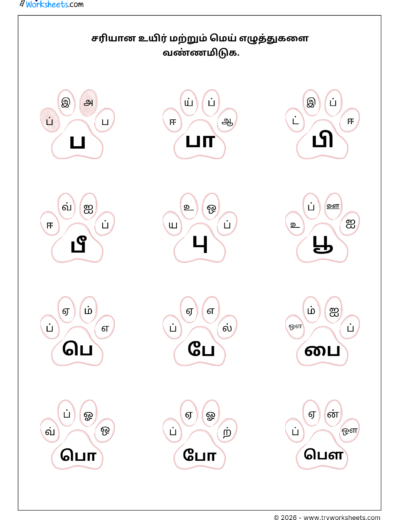 Tamil Grade 1 Worksheet – Color the Correct Uyirmei Ezhuthukkal (ப Series)