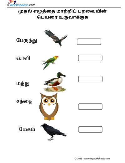பறவையின் பெயரை உருவாக்குக