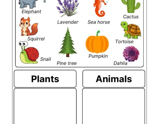 Science Grade 2 Worksheet Sort Out Plants Animals