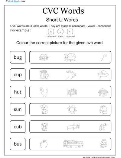 CVC Words Worksheets – Printable CVC Word Activities for Kids