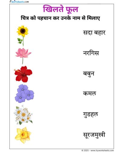 Hindi UKG Worksheet  – Flowers 2