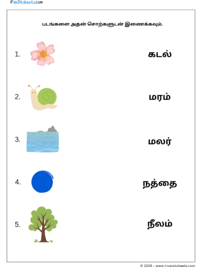 Match Three Letter Tamil Words Worksheet | படங்களை சொற்களுடன் இணைக்கவும் (Free PDF)