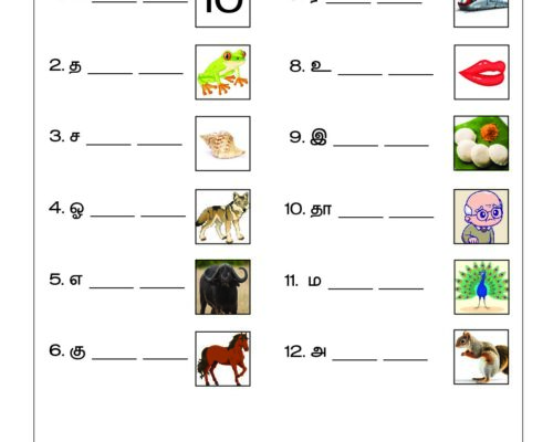 Tamil – Grade 2 Worksheet – Word Building – 3 Letter Words