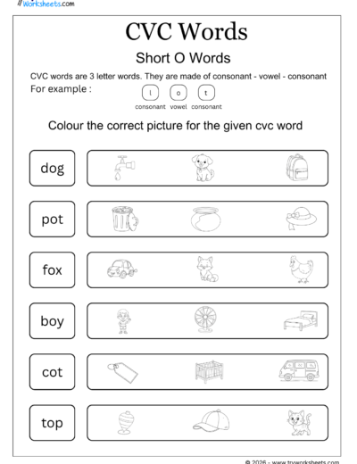 CVC Words Worksheets – Printable CVC Word Activities for Kids