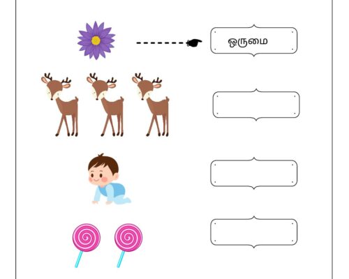 Grade 2 Tamil Worksheet – Singular-Plural