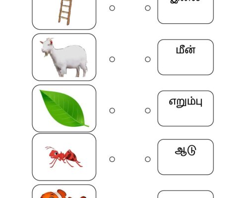 கோடிட்டு இணை – 5