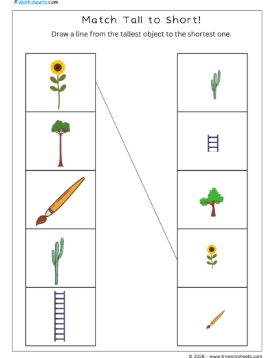 Comparing Numbers – Match Tall to Short!