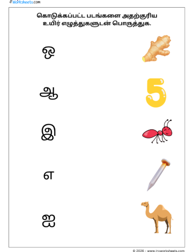 Tamil Uyir Eluthukkal Worksheet – Match vowels with Pictures