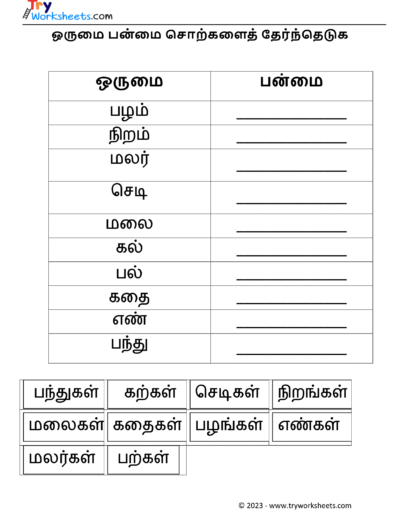 ஒருமை பன்மை – 1