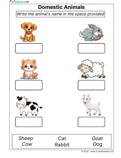 Science Grade 1 Worksheet – Domestic Animals