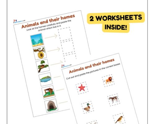 Science Activity Worksheets – Animal Homes | Cut & Paste for Kids
