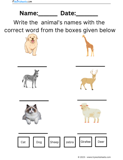 Animals