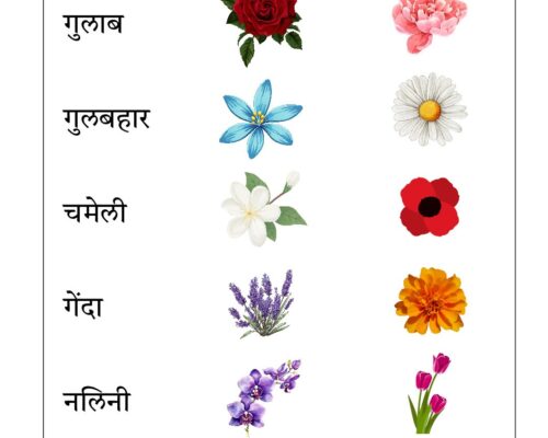 Hindi UKG Worksheet  – Flowers 1