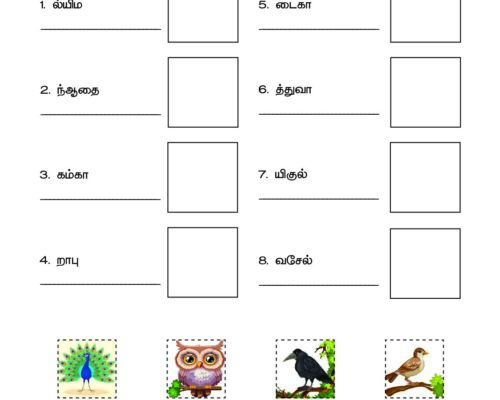 Tamil – Grade 3 – Cut and Paste Worksheet – Arrange the Bird Names and Match with the Picture