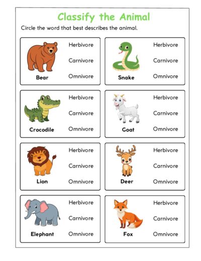 Science Grade 3 Worksheets – Food Habits