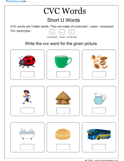 CVC Words Worksheets – Printable CVC Word Activities for Kids