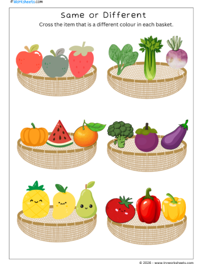 Same or Different Math Worksheets for Kids