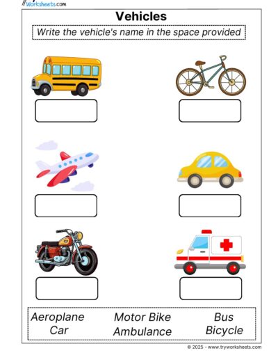 Science Grade 1 Worksheet – Vehicles