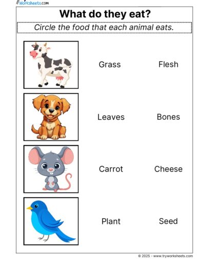 Science Grade 1 Worksheet – What do they eat?