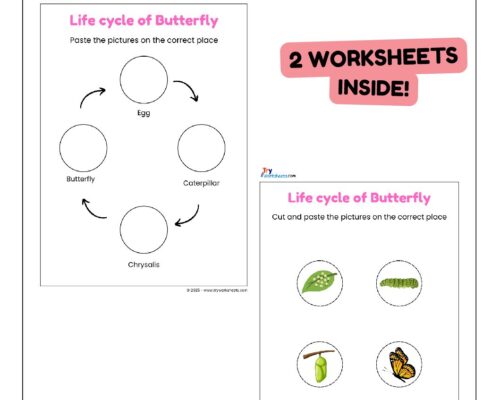 Science Activity Worksheets – Life Cycle of a Butterfly | Cut & Paste for Kids