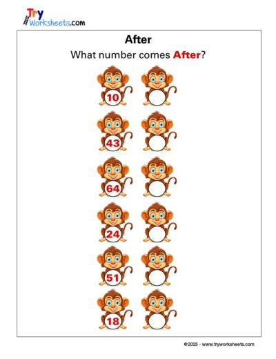 Math – Grade 1: What Number Comes After? Worksheet