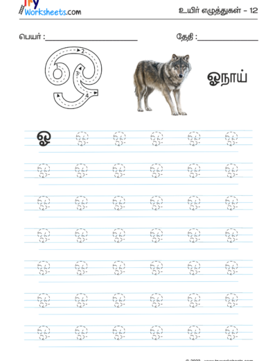 Tamil Tracing Worksheet – Letter – ஓ