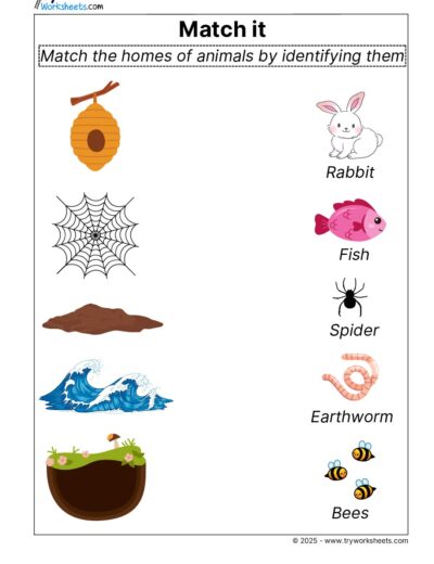 Science Grade 3 Worksheets – Animal’s Homes