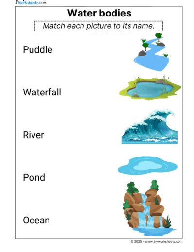 Science Grade 1 Worksheet – Water bodies