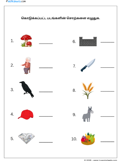 Tamil Grade 1 Worksheet – Write the Picture Words in Tamil | மூன்றெழுத்துச் சொற்கள்