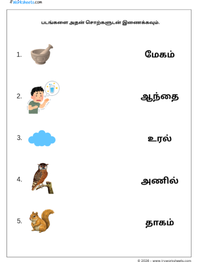 Match Three Letter Tamil Words Worksheet 3 | படங்களை சொற்களுடன் இணைக்கவும் | Free PDF