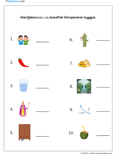 Tamil Grade 1 Worksheet – Write the Picture Words in Tamil | நான்கு எழுத்து சொற்கள்