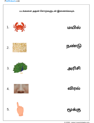 Match Three Letter Tamil Words Worksheet 2 | படங்களை சொற்களுடன் இணைக்கவும் | Free PDF
