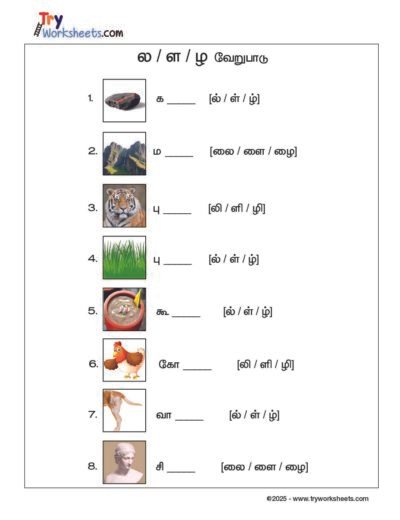 Tamil – Grade 2 Worksheet – Choose the Correct Letter
