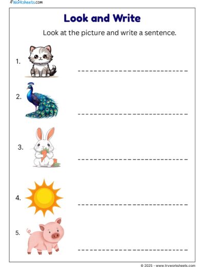 Look and Write – Picture Sentence Writing Worksheets for Kids