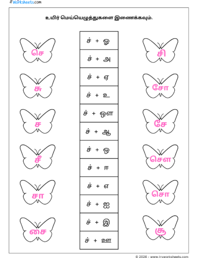 Tamil Grade 1 Worksheet – Form Uyirmei Ezhuthukkal with ச (Cha Series)