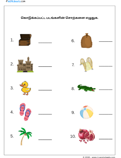 Tamil Grade 1 Worksheet – Write the Picture Words in Tamil | மூன்றெழுத்துச் சொற்கள்
