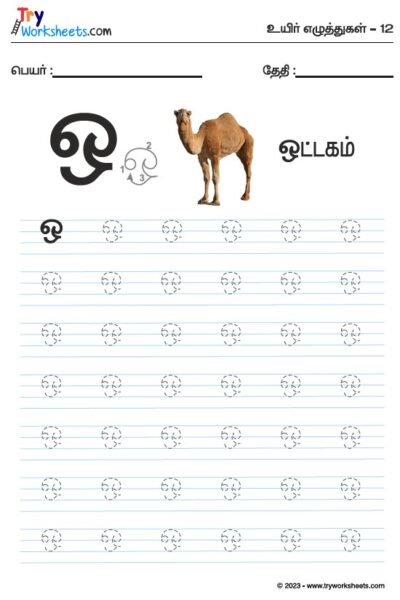 Tamil Tracing Worksheet – Letter – ஒ