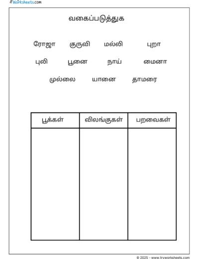 Grade 2 – Tamil Worksheet – Classifications