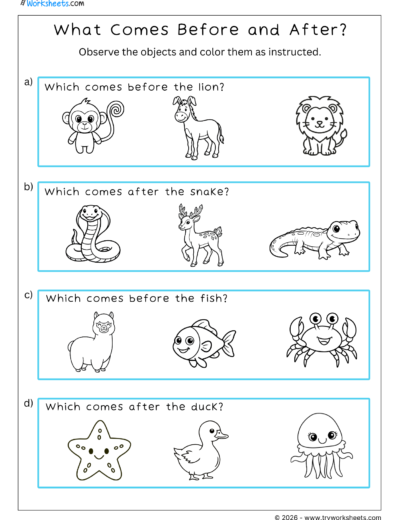 What Comes Before and After? – A