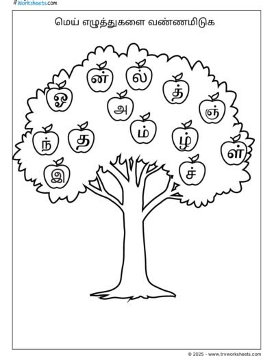 Tamil Grade 2 Mei Eluthukalai Vannamiduga