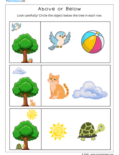 Above or Below – A