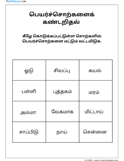 Tamil Grade 3 Worksheet – Identify nouns from the given list