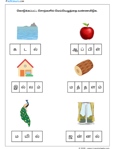 Tamil Mei Eluthukkal Worksheet – Identify the Consonants in the given words