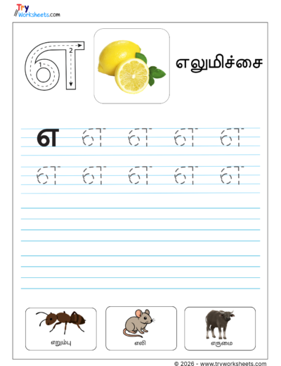 Tamil Letter எ Tracing & Writing Practice for Kids | Learn எ Words