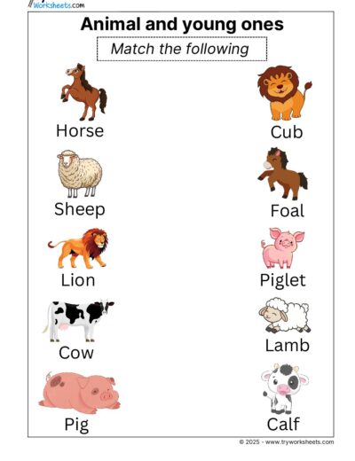 Science Grade 2 Worksheet Animals and young ones